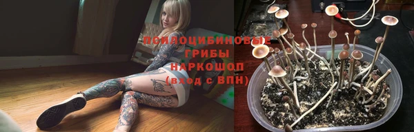 spice Балахна