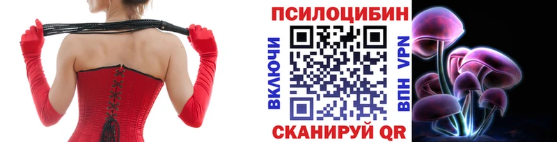Псилоцибиновые грибы Psilocybe как найти закладки дарк нет формула Голицыно